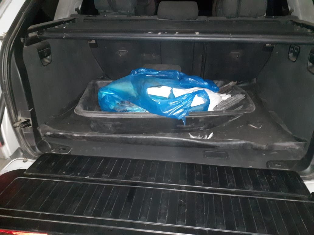 Убитого лебедя обнаружили в багажнике у североказахстанца