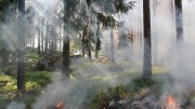 Дым от горящих российских лесов дошел до Казахстана