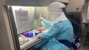 Еще один человек выздоровел от коронавируса в Нур-Султане