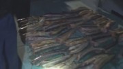 У браконьера изъяли 625 кг осетрины в Атырауской области 