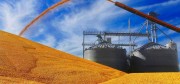 Казахстан испытывает сложности с контролем ввоза российского зерна