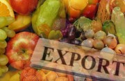 Казахстанский предприниматель организовал незаконную поставку овощей и фруктов в Россию